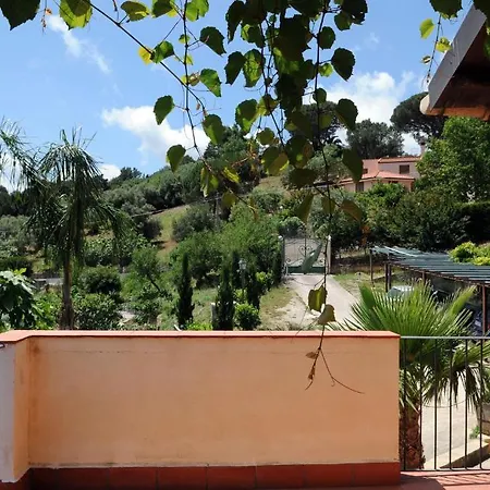 Eleanto Apartment *
